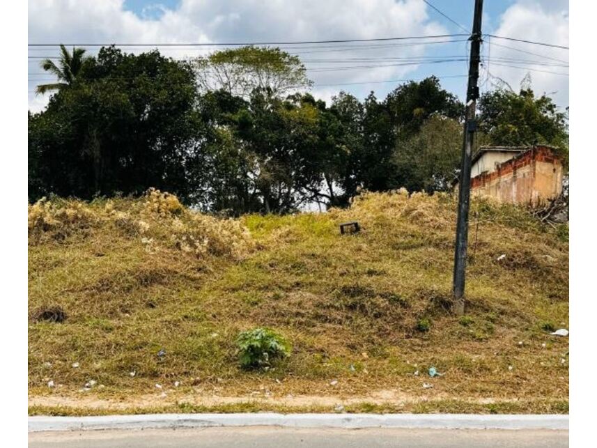 Imagem 1 do Leilão de Terreno - Mangalô - Alagoinhas/BA