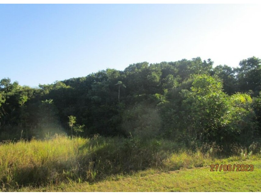 Imagem 3 do Leilão de Terreno - Balneário Vila Nova - Ilha Comprida/SP