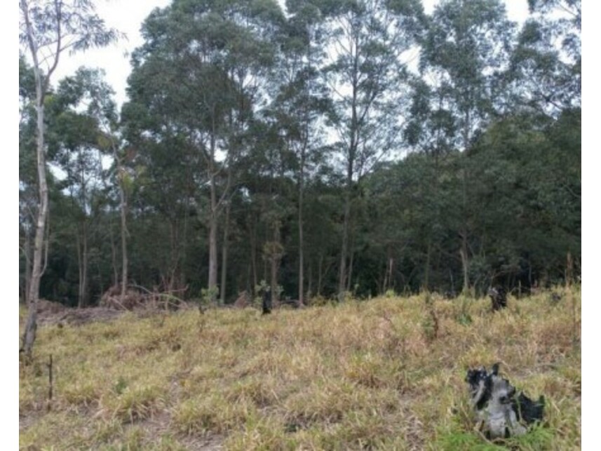 Imagem 18 do Leilão de Terreno - Olho Dágua - Mairiporã/SP