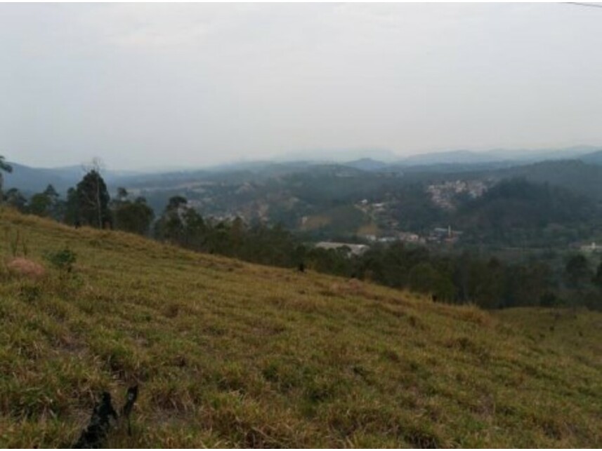 Imagem 17 do Leilão de Terreno - Olho Dágua - Mairiporã/SP