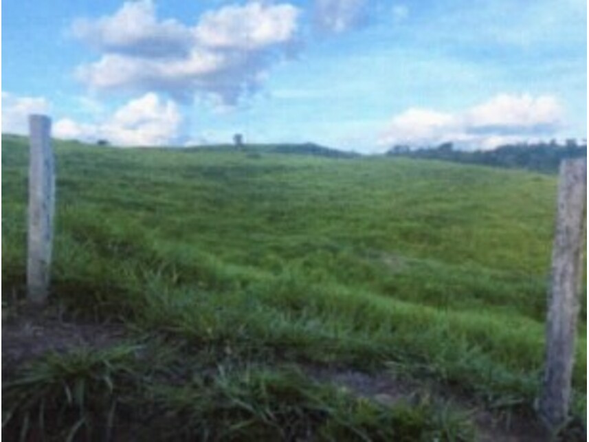 Imagem 6 do Leilão de Fazenda - Zona Rural - Rondon do Pará/PA