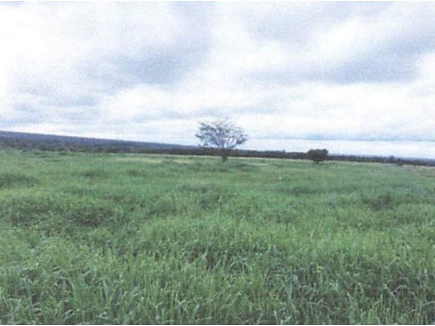 Imagem 5 do Leilão de Fazenda - Zona Rural - Rondon do Pará/PA