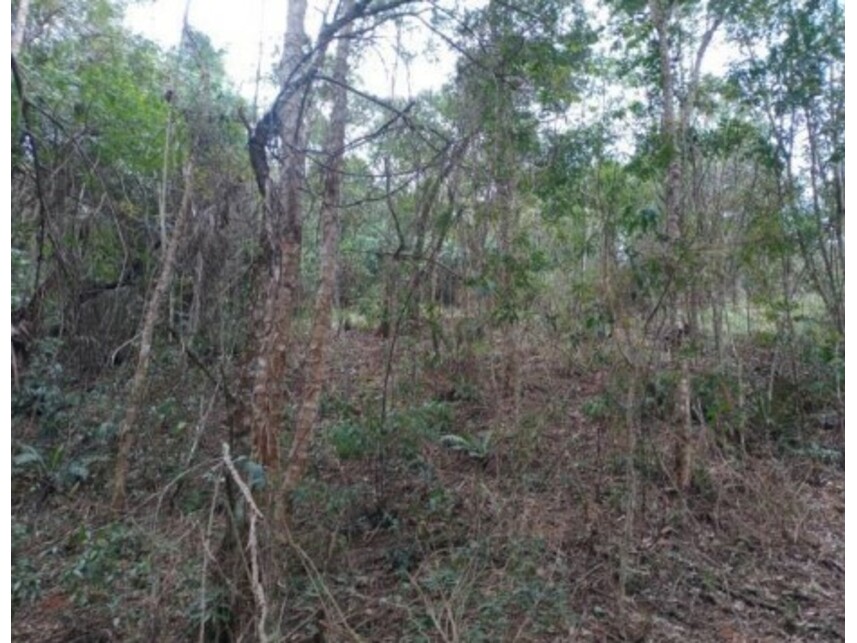 Imagem 11 do Leilão de Terreno - Olho Dágua - Mairiporã/SP