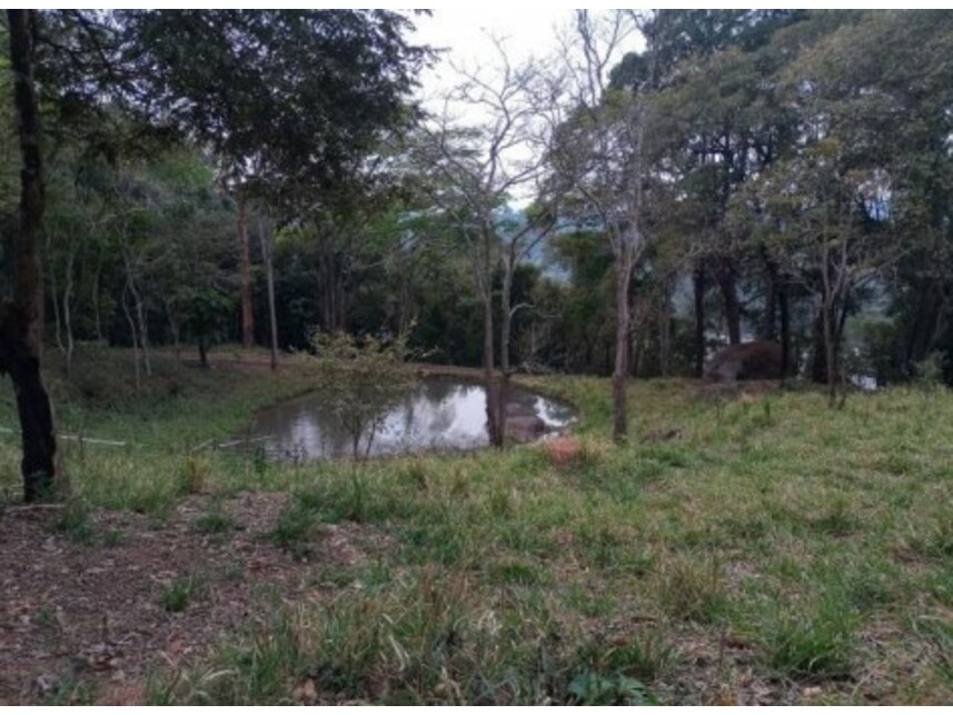 Imagem 6 do Leilão de Terreno - Olho Dágua - Mairiporã/SP