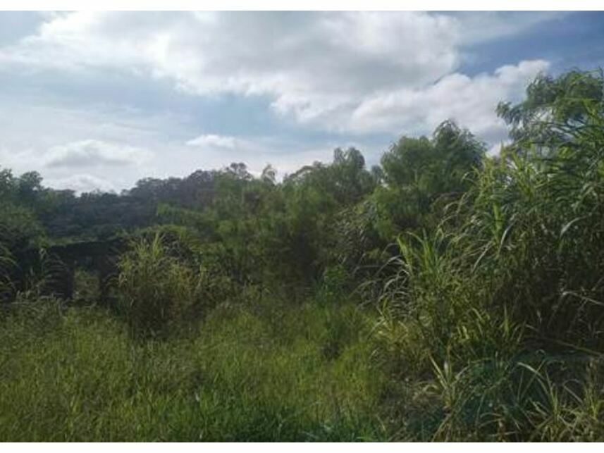 Imagem 3 do Leilão de Terreno - Moinho Velho - Cotia/SP