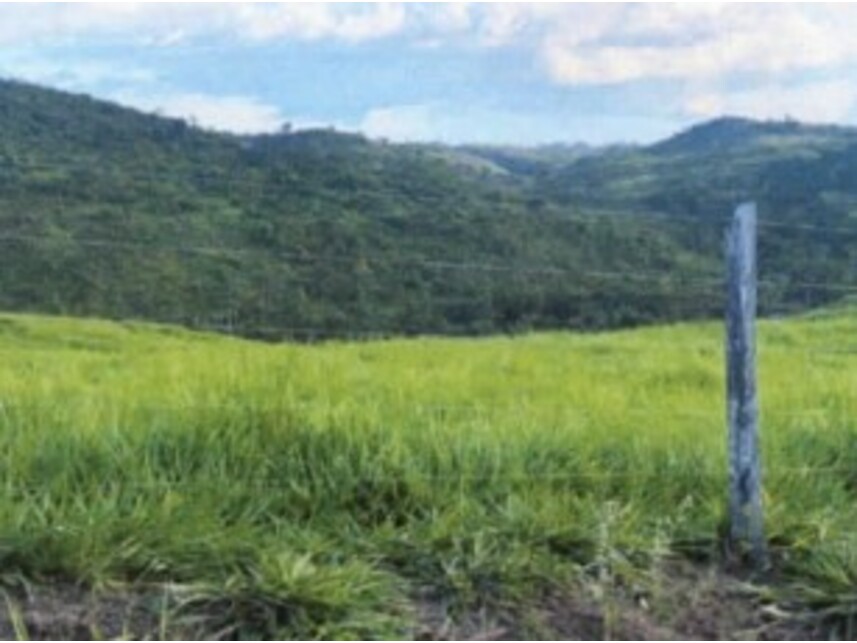 Imagem 3 do Leilão de Fazenda - Zona Rural - Rondon do Pará/PA