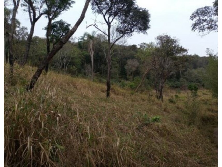 Imagem 21 do Leilão de Terreno - Olho Dágua - Mairiporã/SP