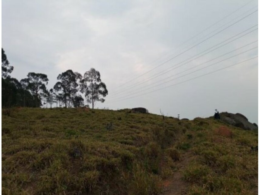 Imagem 15 do Leilão de Terreno - Olho Dágua - Mairiporã/SP