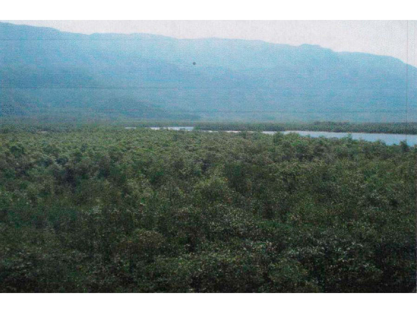 Imagem 2 do Leilão de Terreno - Zona Rural - Bertioga/SP