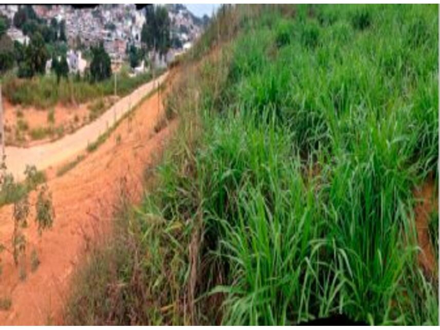 Imagem 4 do Leilão de Terreno - Paulino Fernandes - Ubá/MG