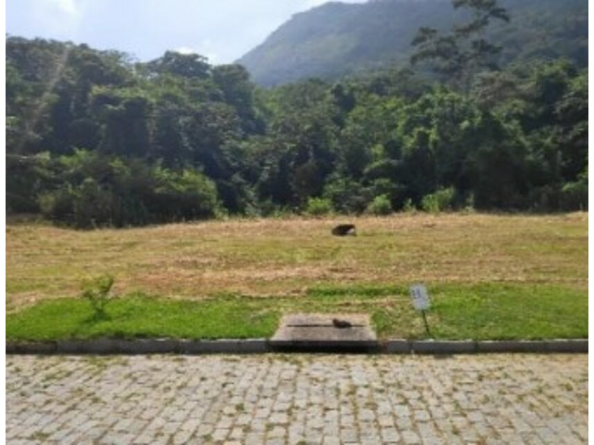 Imagem 7 do Leilão de Terreno - Pilar - Maricá/RJ