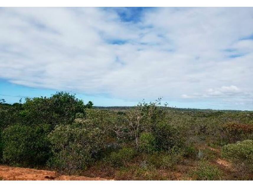 Imagem 5 do Leilão de Terreno - Pólo Industrial de Camaçari - Camaçari/BA