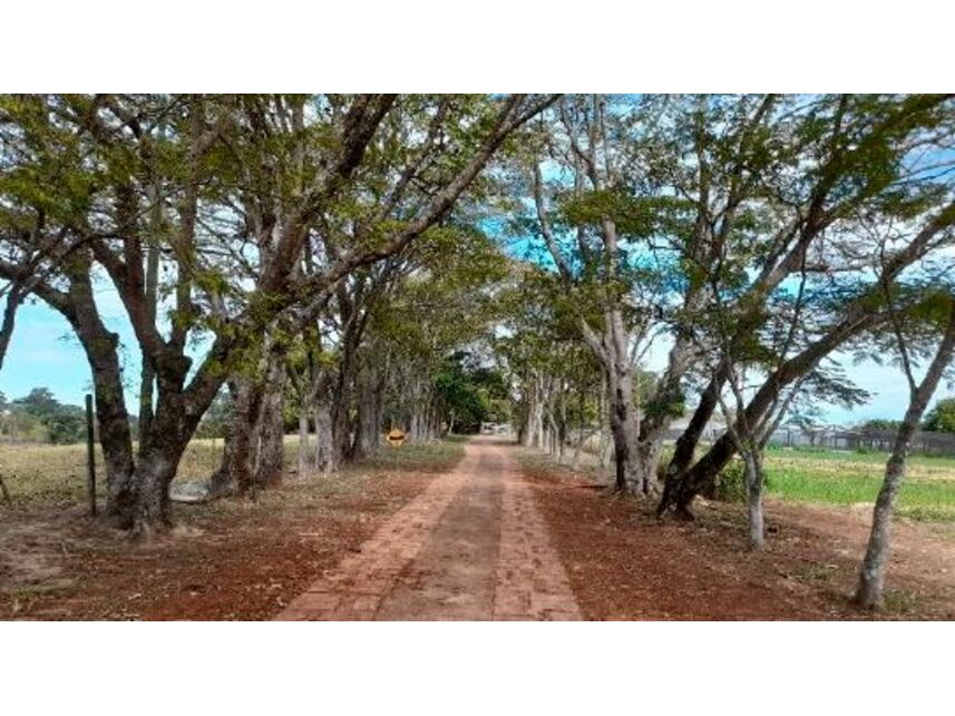 Imagem 45 do Leilão de Sítio - Caiacatinga - Porto Feliz/SP