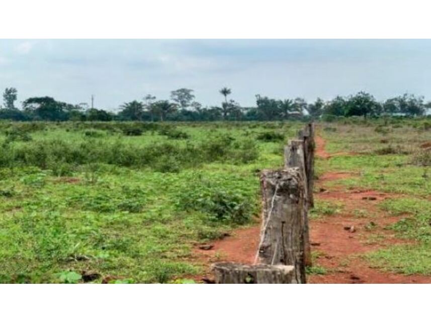 Imagem 15 do Leilão de Chácara - Zona Rural - Santa Maria das Barreiras/PA