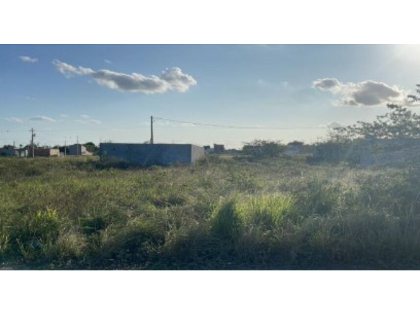 Imagem 1 do Leilão de Terreno - Registro - Feira de Santana/BA