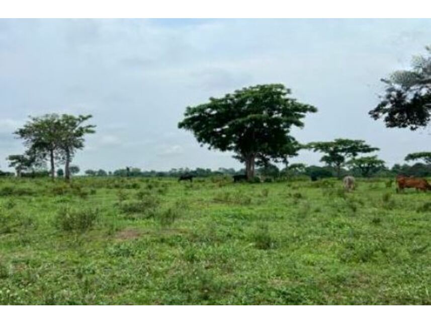 Imagem 5 do Leilão de Chácara - Zona Rural - Santa Maria das Barreiras/PA