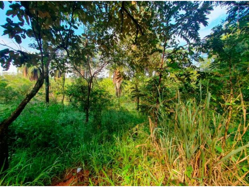 Imagem 2 do Leilão de Terreno - Braúnas - Belo Horizonte/MG