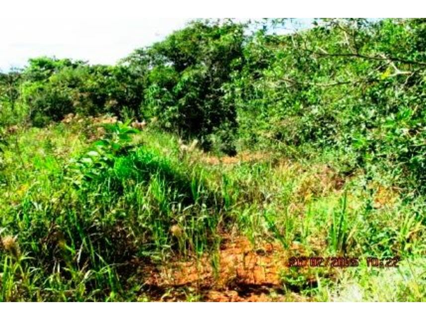 Imagem 17 do Leilão de Terreno - Loteamento Terra dos Cuiabás - Tiradentes/MG