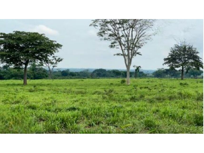 Imagem 11 do Leilão de Chácara - Zona Rural - Santa Maria das Barreiras/PA