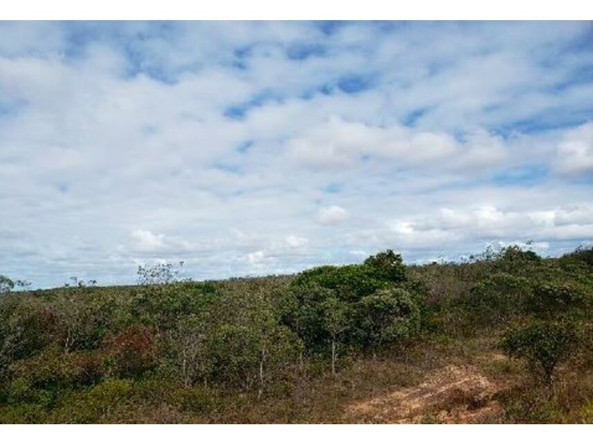 Imagem 3 do Leilão de Terreno - Pólo Industrial de Camaçari - Camaçari/BA