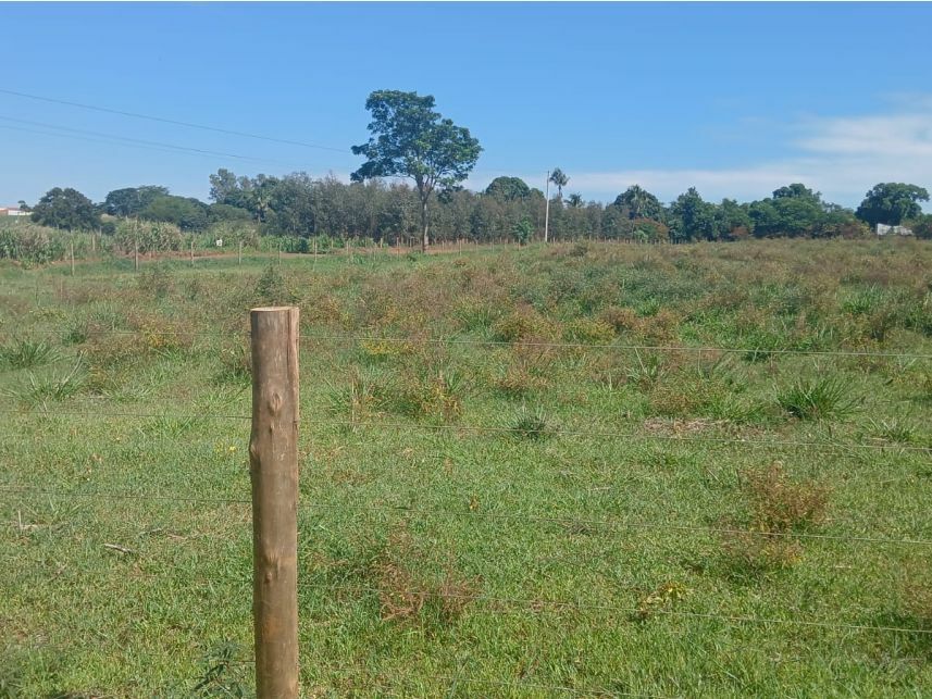 Imagem 4 do Leilão de Área Rural - Zona Rural - Ouroeste/SP