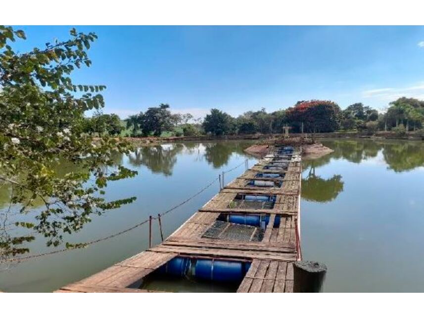 Imagem 47 do Leilão de Sítio - Caiacatinga - Porto Feliz/SP