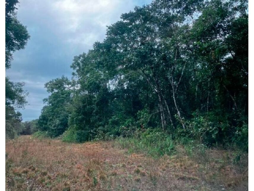 Imagem  do Leilão de Terreno - Jardim Anchieta - Itanhaém/SP