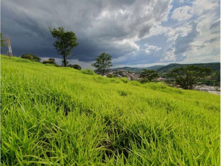 Imagem 6 do Leilão de Terreno - Jardim de Alá - Justinópolis - Ribeirão das Neves/MG