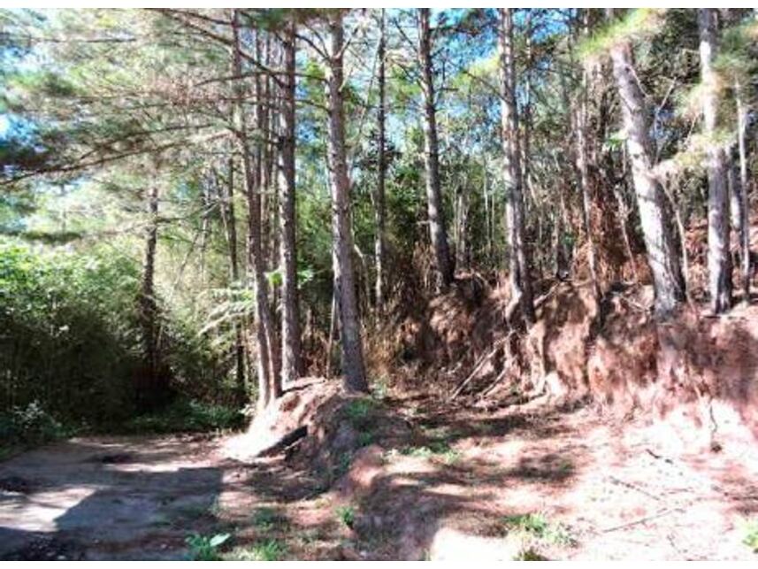 Imagem 14 do Leilão de Terreno c/benfeitorias - Aldeinha - Itapecerica da Serra/SP