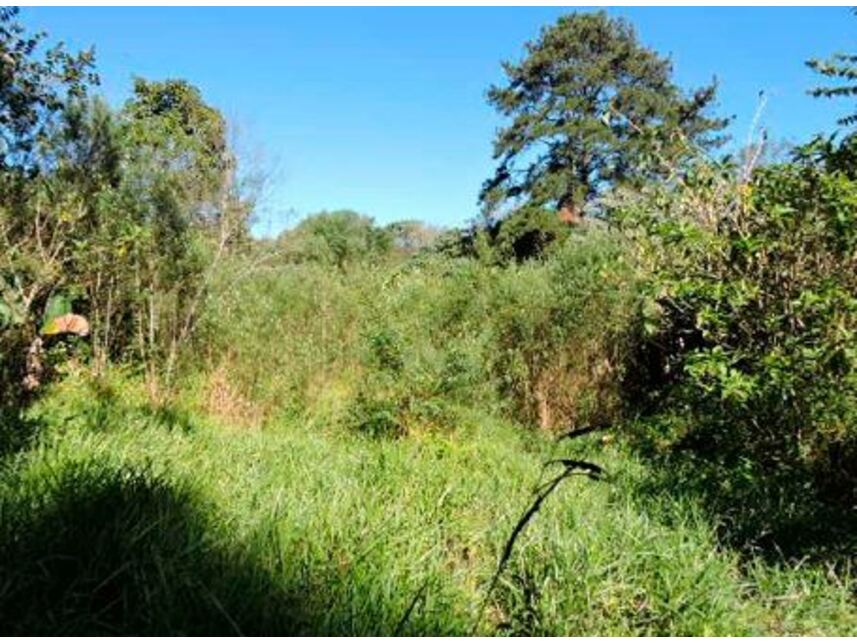 Imagem 15 do Leilão de Terreno c/benfeitorias - Aldeinha - Itapecerica da Serra/SP