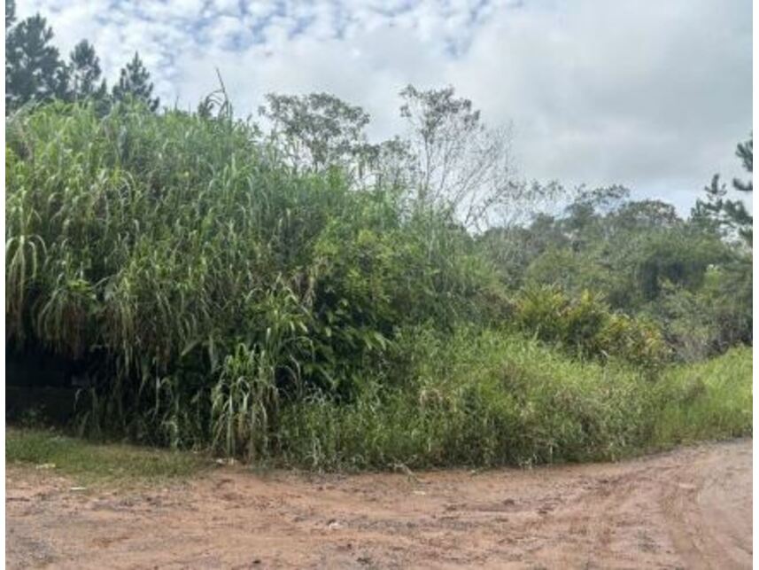 Imagem 5 do Leilão de Terreno - Potuverá - Itapecerica da Serra/SP