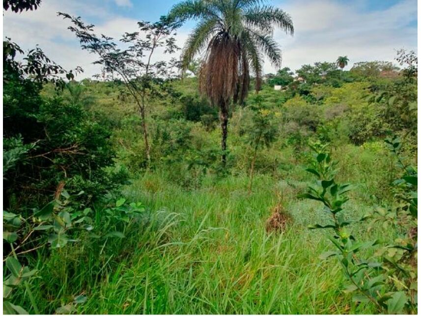 Imagem 1 do Leilão de Terreno - Braúnas - Belo Horizonte/MG