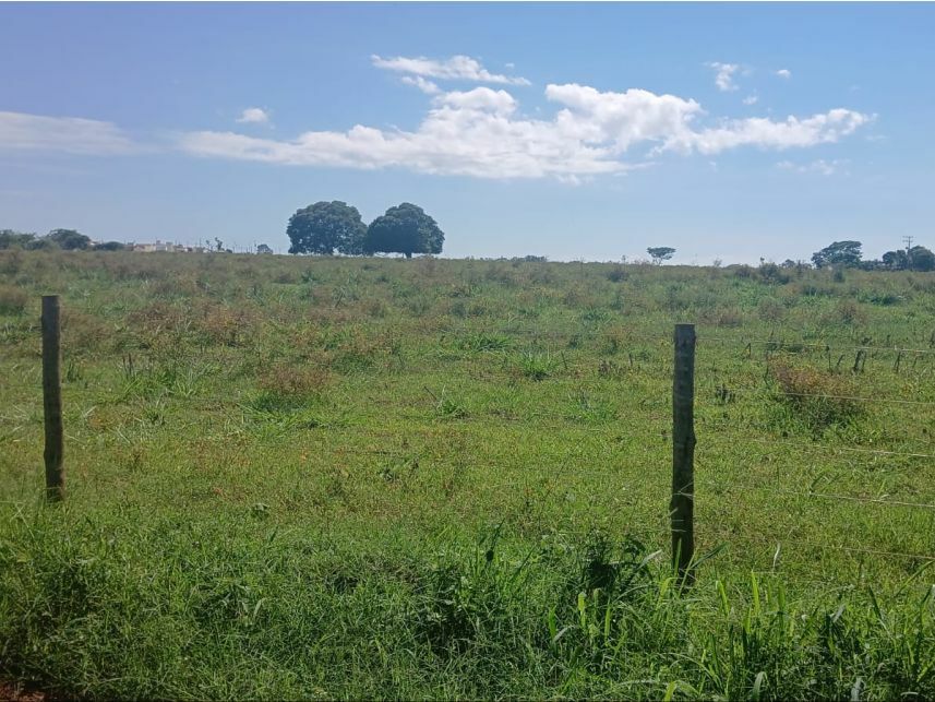 Imagem 3 do Leilão de Área Rural - Zona Rural - Ouroeste/SP