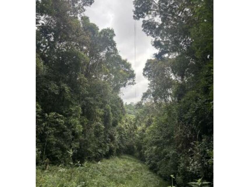 Imagem 16 do Leilão de Terreno - Potuverá - Itapecerica da Serra/SP