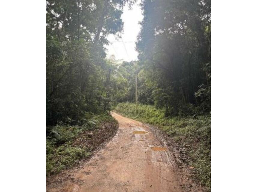 Imagem 18 do Leilão de Terreno - Potuverá - Itapecerica da Serra/SP