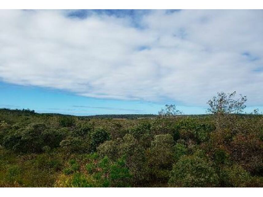 Imagem 1 do Leilão de Terreno - Pólo Industrial de Camaçari - Camaçari/BA