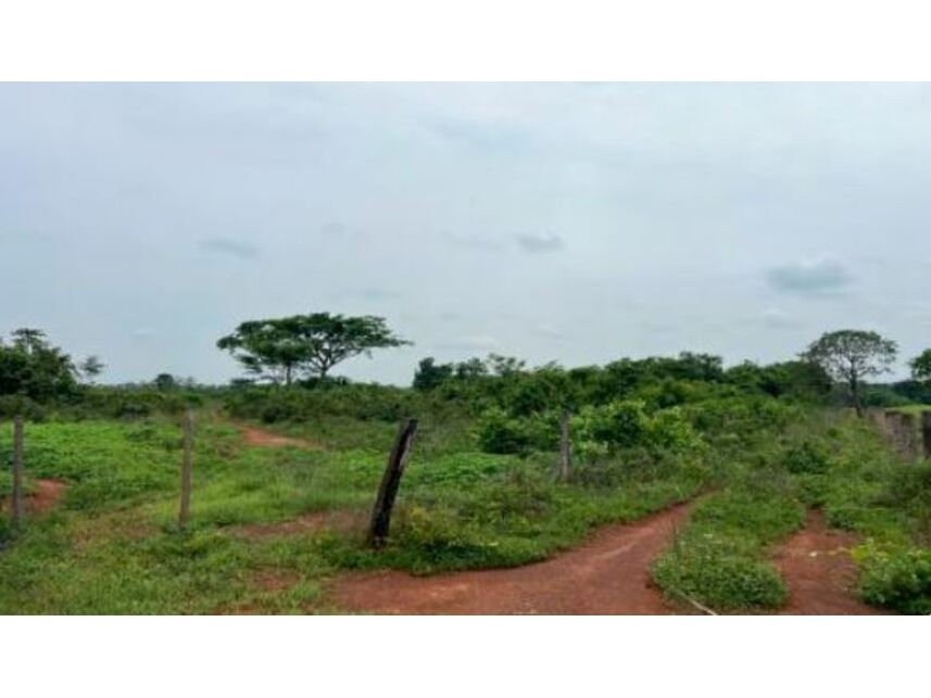 Imagem 12 do Leilão de Chácara - Zona Rural - Santa Maria das Barreiras/PA