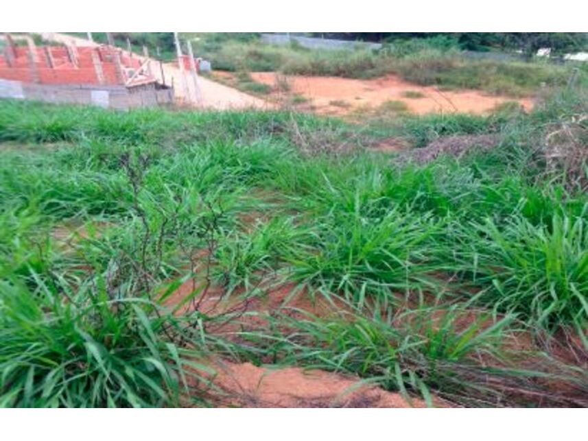 Imagem 3 do Leilão de Terreno - Paulino Fernandes - Ubá/MG