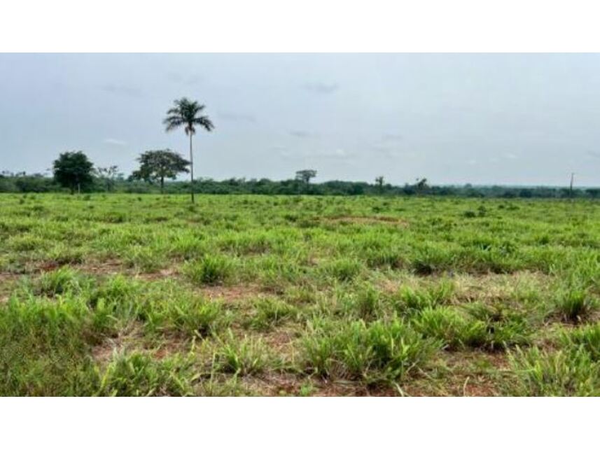 Imagem 10 do Leilão de Chácara - Zona Rural - Santa Maria das Barreiras/PA