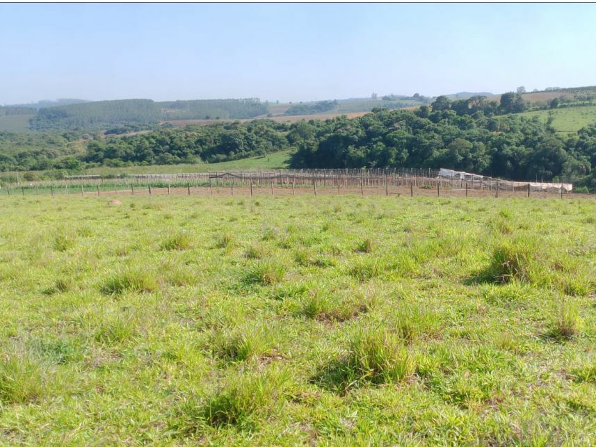 Imagem 7 do Leilão de Área Rural - Capão Redondo - Salto de Pirapora/SP