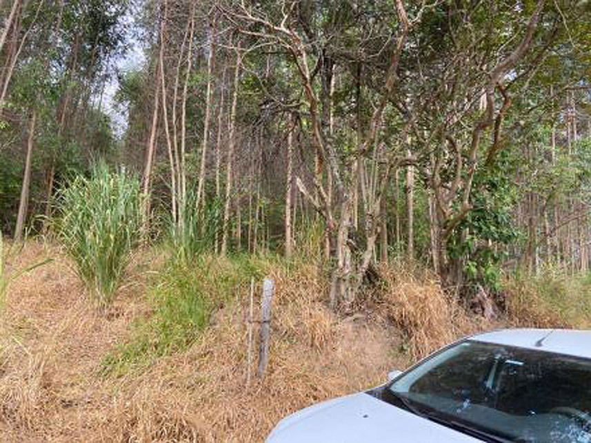 Imagem 1 do Leilão de Área Rural - Boa Vista - Atibaia/SP