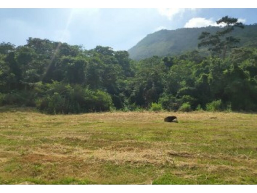 Imagem 2 do Leilão de Terreno - Pilar - Maricá/RJ