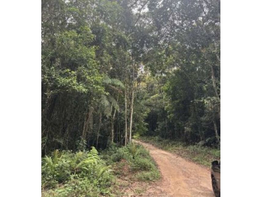 Imagem 12 do Leilão de Terreno - Potuverá - Itapecerica da Serra/SP