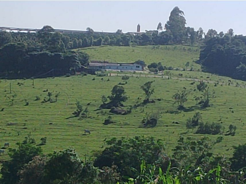 Imagem 4 do Leilão de Área Rural - Capão Redondo - Salto de Pirapora/SP