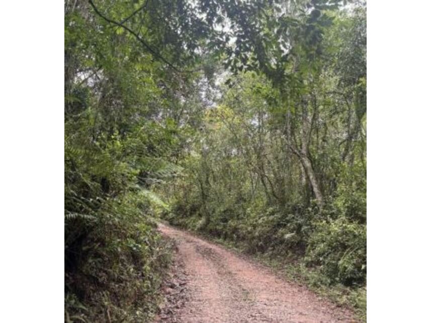 Imagem 10 do Leilão de Terreno - Potuverá - Itapecerica da Serra/SP