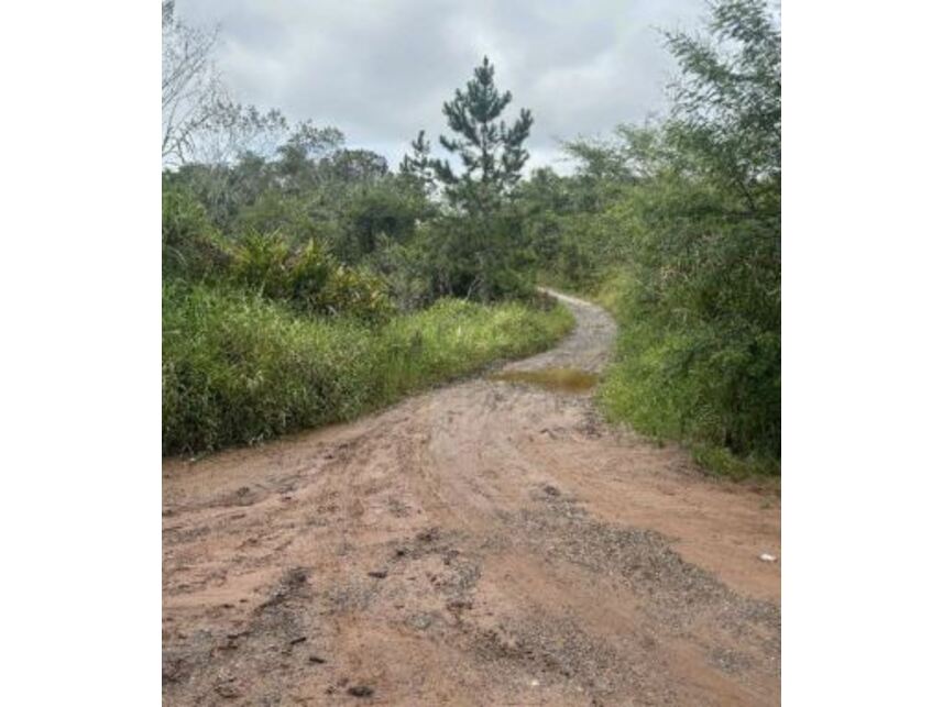 Imagem 2 do Leilão de Terreno - Potuverá - Itapecerica da Serra/SP