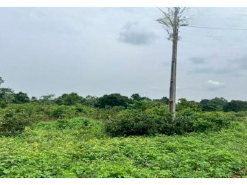 Imagem 4 do Leilão de Chácara - Zona Rural - Santa Maria das Barreiras/PA