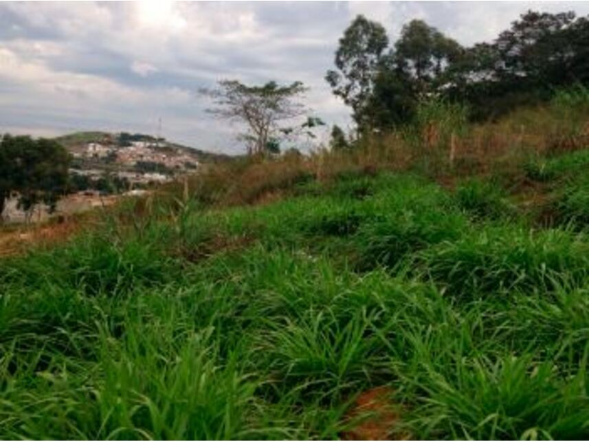 Imagem 2 do Leilão de Terreno - Paulino Fernandes - Ubá/MG