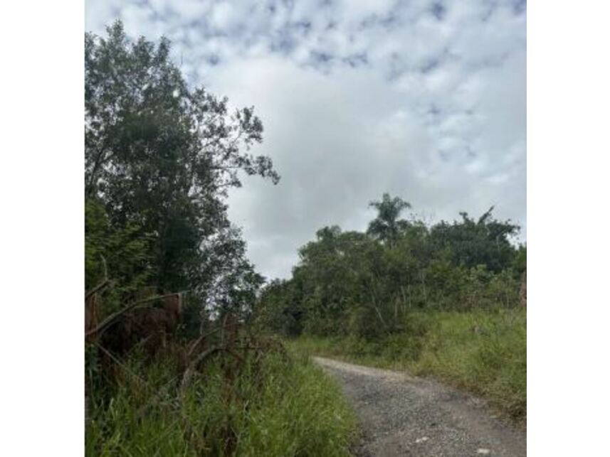 Imagem 8 do Leilão de Terreno - Potuverá - Itapecerica da Serra/SP