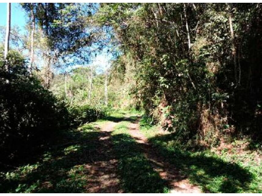 Imagem 16 do Leilão de Terreno c/benfeitorias - Aldeinha - Itapecerica da Serra/SP